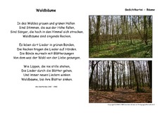 Waldbäume-Dauthendey.pdf